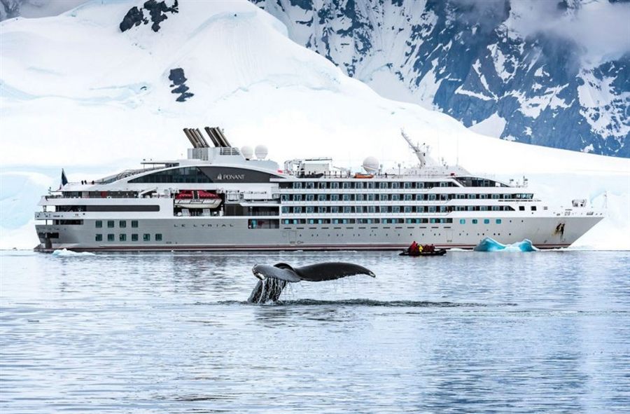 Small expedition ship in icy water with a whale tail rising nearby